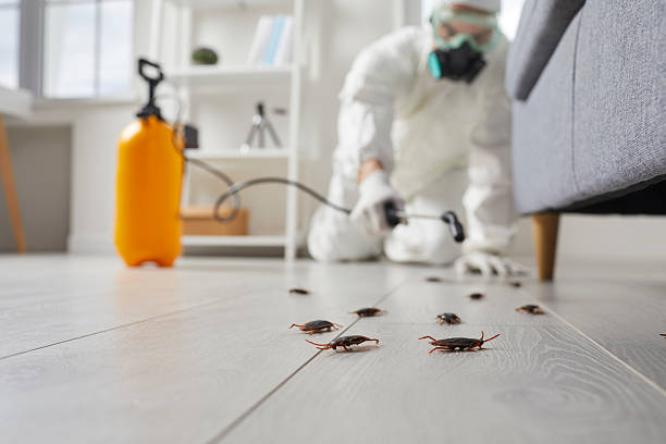 Commercial Kitchen Cockroach Control in Grandwood Park